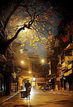 Văn học Phật giáo - Một thời cùng hiện